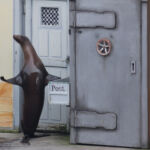 Seelöwe