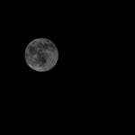 Vollmond am 29.12.2020