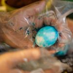 Eier färben ist Handarbeit