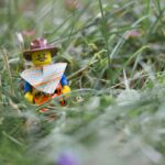 Emmett unterwegs im Gras