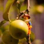Emmett und der Apfel
