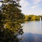 Fontäne am Berger See