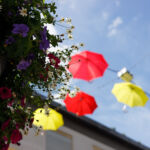 Sonnenschirm und Blumenampel