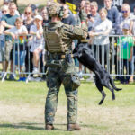 Schutzhund im EInsatz
