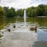 Teich