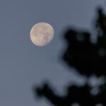 Fast voller Mond