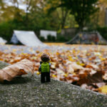 Tim im Herbst unterwegs