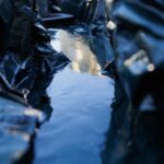 Reflexionen im Rahmen