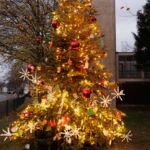 Weihnachtswunschbaum