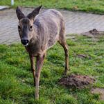 Besuch am Büro