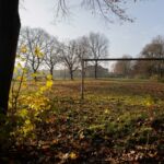 Sportplatz im Winter