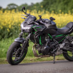 Z650 am Rapsfeld