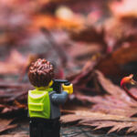 Fotograf im Laub